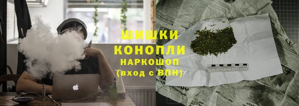 гидра Аркадак