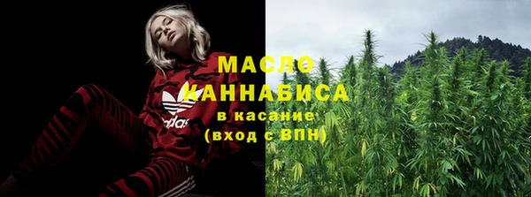 гидра Аркадак